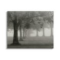 thumbnail image 1 of Stupell Industries Tranquil Foggy Trees Field Monochrome Design, 40 x 30, Design by Nicholas Bell, 1 of 6