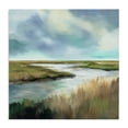 thumbnail image 1 of Stupell Industries Coastal Tranquil Meadow and Wetlands Canvas Art, 17 x 17, by Liz Jardine, 1 of 8