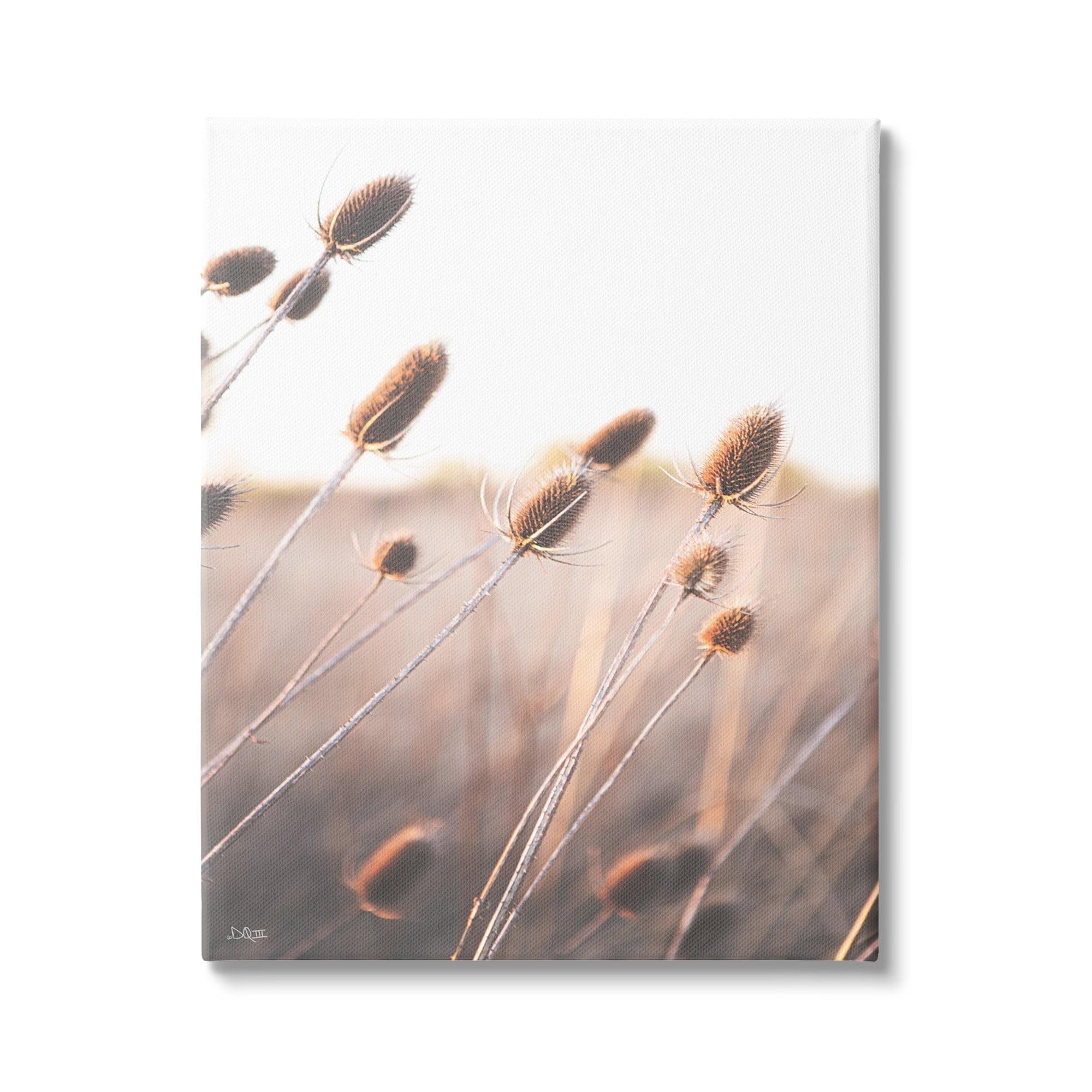 Stupell Industries Tranquil Plant Buds Sprouts Country Meadow Grass Canvas Wall Art, 30 x 40, Design by Donnie Quillen