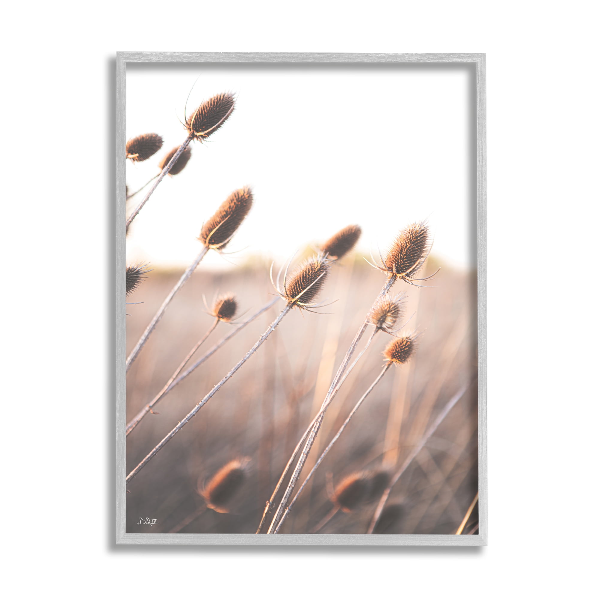 Stupell Industries Tranquil Plant Buds Sprouts Country Meadow Grass Framed Wall Art, 11 x 14, Design by Donnie Quillen