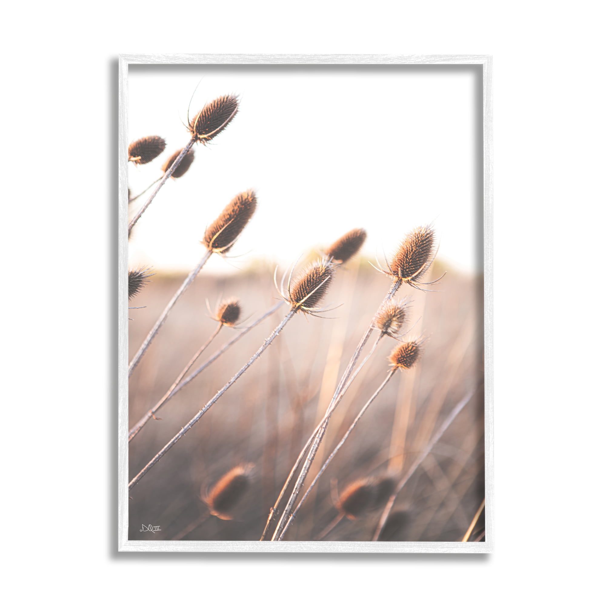 Stupell Industries Tranquil Plant Buds Sprouts Country Meadow Grass Framed Wall Art, 11 x 14, Design by Donnie Quillen