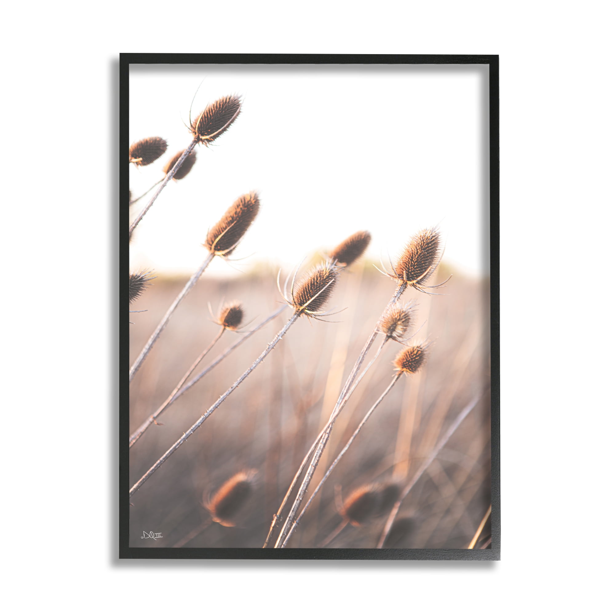 Stupell Industries Tranquil Plant Buds Sprouts Country Meadow Grass Framed Wall Art, 11 x 14, Design by Donnie Quillen