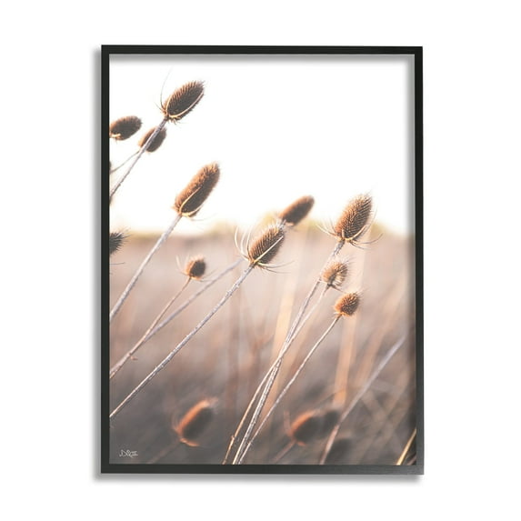 Stupell Industries Tranquil Plant Buds Sprouts Country Meadow Grass Framed Wall Art, 16 x 20, Design by Donnie Quillen