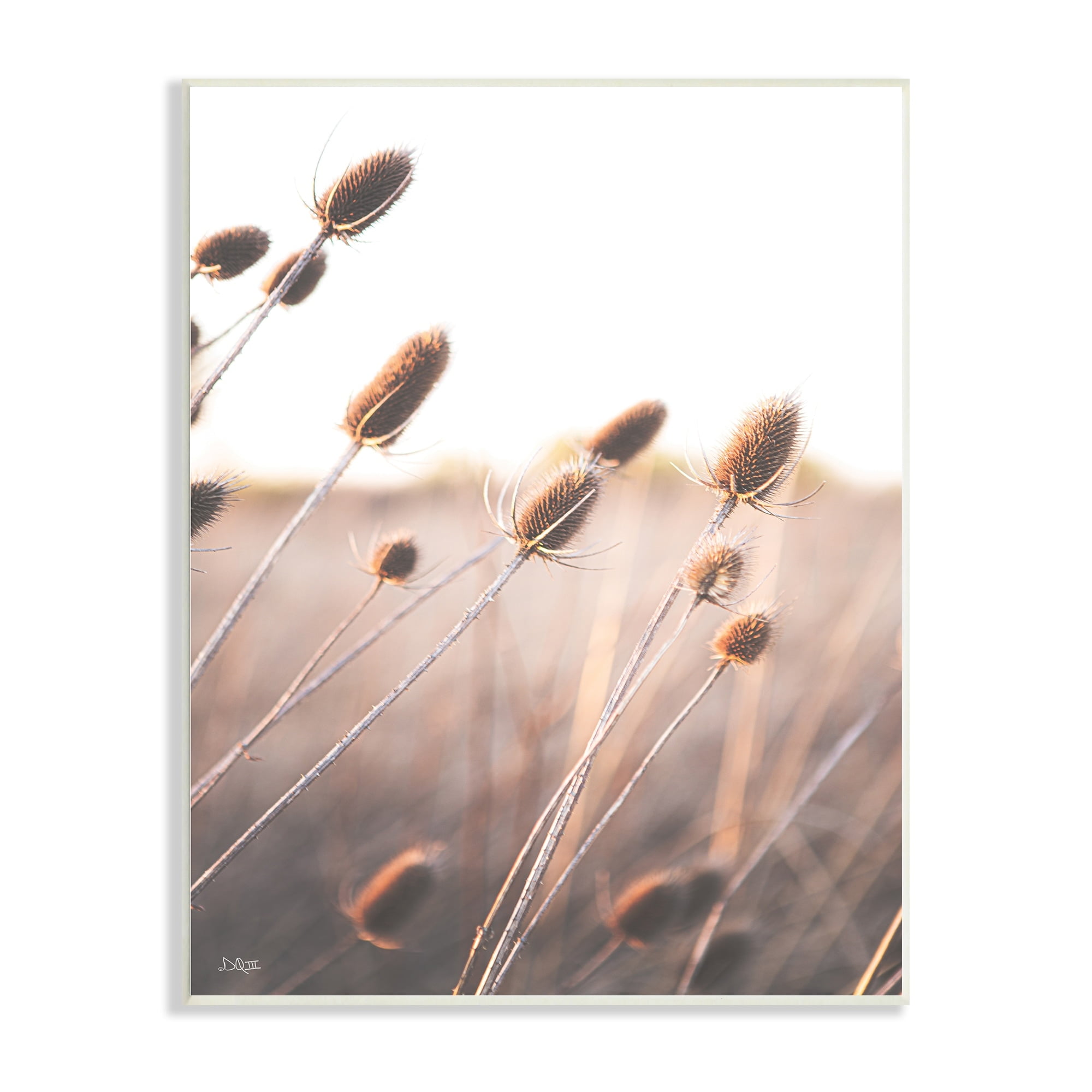 Stupell Industries Tranquil Plant Buds Sprouts Country Meadow Grass Wood Wall Art, 13 x 19, Design by Donnie Quillen