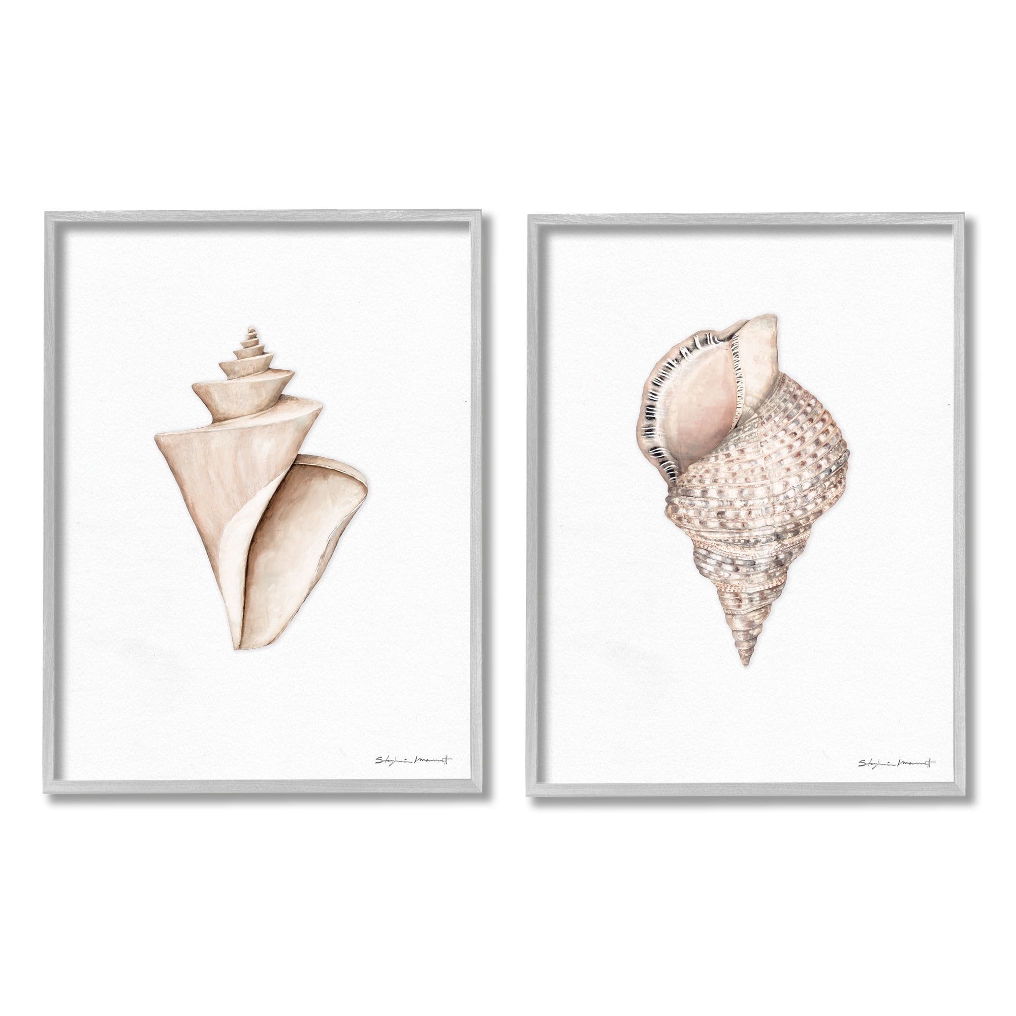 Stupell Industries Tranquil Spiral Sea Shells Soft Marine Life Illustration, 11 x 14, Design by Stephanie Workman Marrott