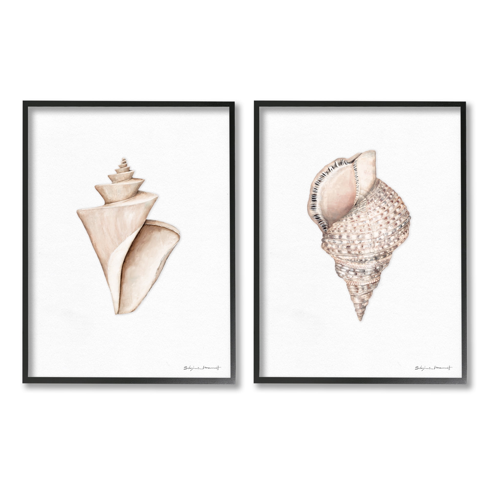 Stupell Industries Tranquil Spiral Sea Shells Soft Marine Life Illustration, 11 x 14, Design by Stephanie Workman Marrott