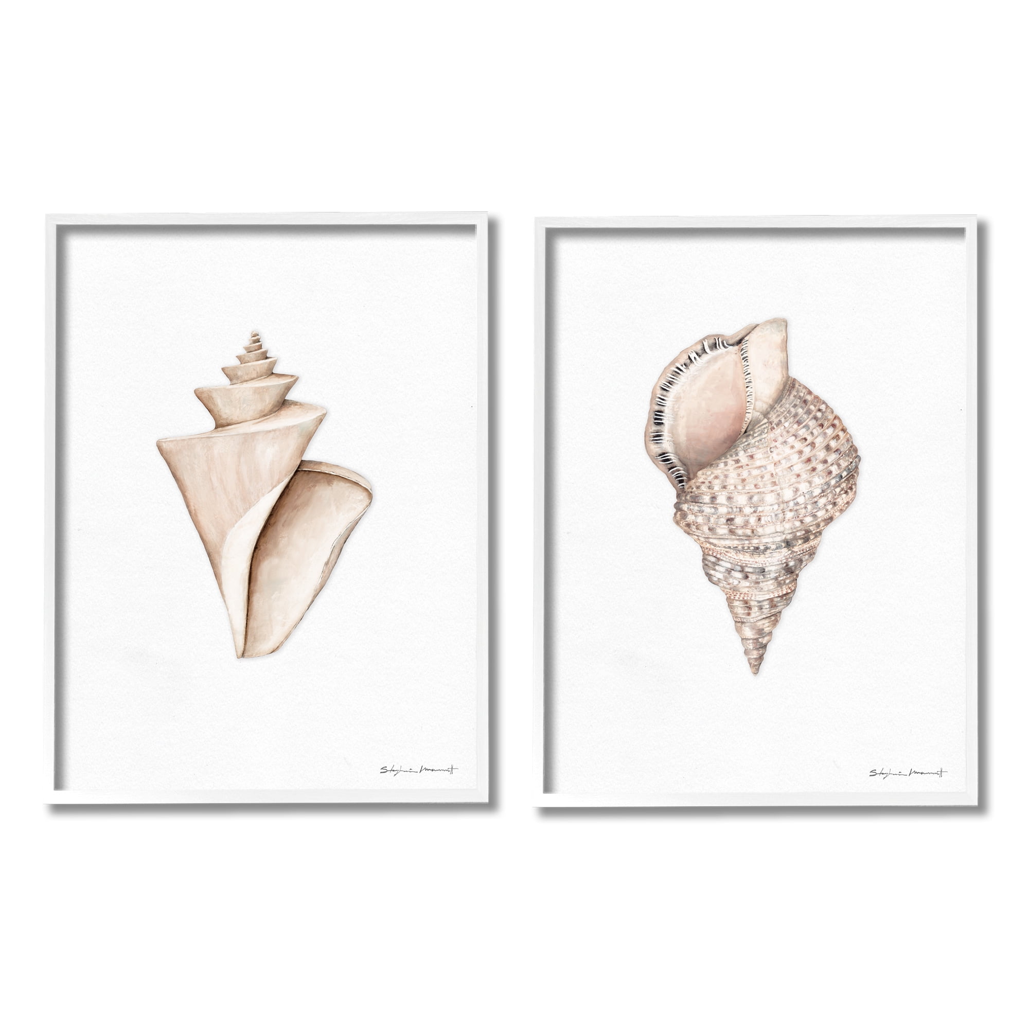Stupell Industries Tranquil Spiral Sea Shells Soft Marine Life Illustration, 16 x 20, Design by Stephanie Workman Marrott