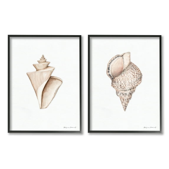 Stupell Industries Tranquil Spiral Sea Shells Soft Marine Life Illustration, 16 x 20, Design by Stephanie Workman Marrott