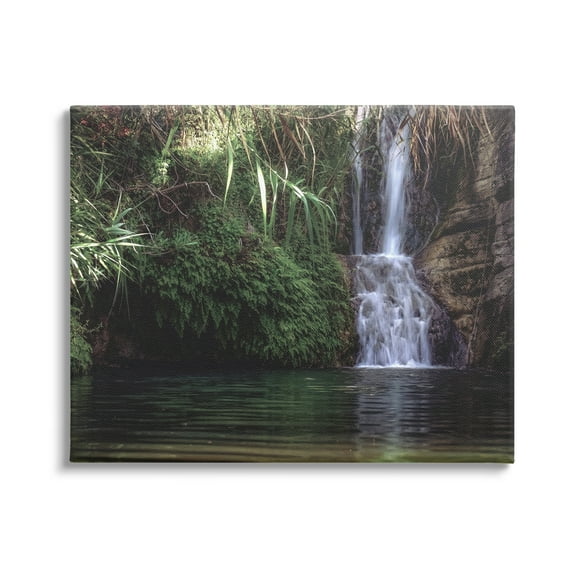 Stupell Industries Tranquil Waterfall Rainforest Environment Nature Clearing Photography Photograph Gallery Wrapped Canvas Print Wall Art, Design by Daphne Polselli