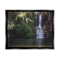 thumbnail image 1 of Stupell Industries Tranquil Waterfall Rainforest Environment Nature Clearing Photography Photograph Jet Black Floating Framed Canvas Print Wall Art, Design by Daphne Polselli, 1 of 6