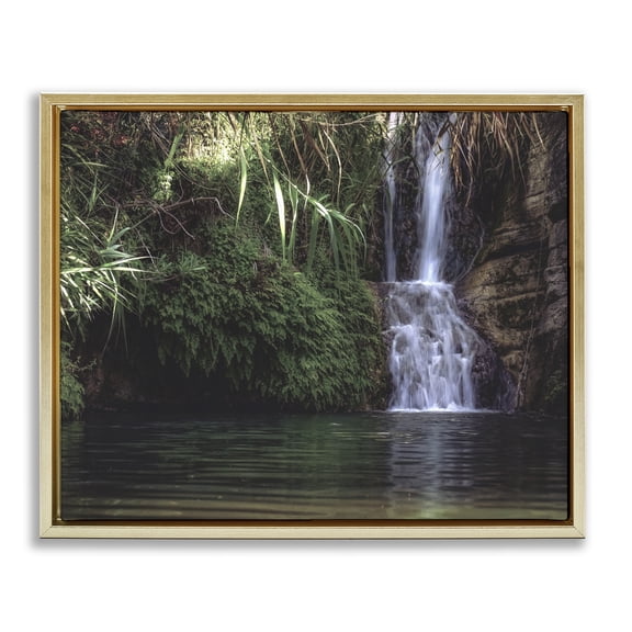 Stupell Industries Transitional Tranquil Waterfall Rainforest Environment Nature Clearing Photography Gold Floating Frame Canvas Art, 31 x 25, by Lil' Rue