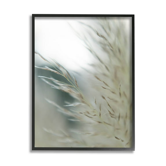 Stupell Industries Tranquil Wheat Pampas Grass Photography Photograph Black Framed Art Print Wall Art, Design by Jason Johnson