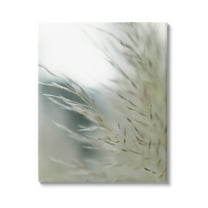 Stupell Industries Tranquil Wheat Pampas Grass Photography Photograph Gallery Wrapped Canvas Print Wall Art, Design by Jason Johnson