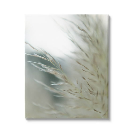 Stupell Industries Tranquil Wheat Pampas Grass Photography Photograph Gallery Wrapped Canvas Print Wall Art, Design by Jason Johnson