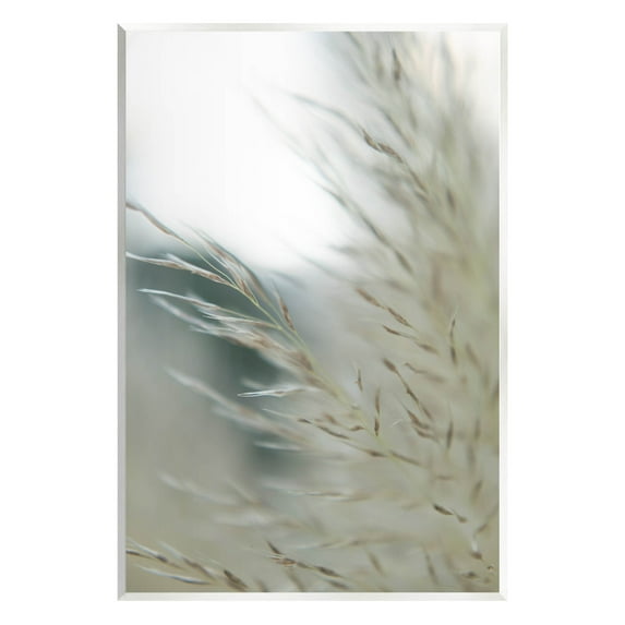 Stupell Industries Tranquil Wheat Pampas Grass Photography Photograph Unframed Art Print Wall Art, Design by Jason Johnson