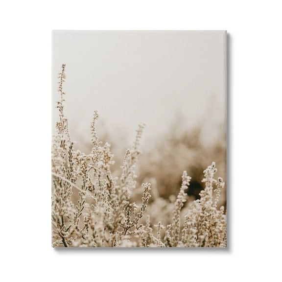 Stupell Industries Tranquil Wildflower Meadow Blooms Photograph Gallery Wrapped Canvas Print Wall Art, Design by Leah Straatsma