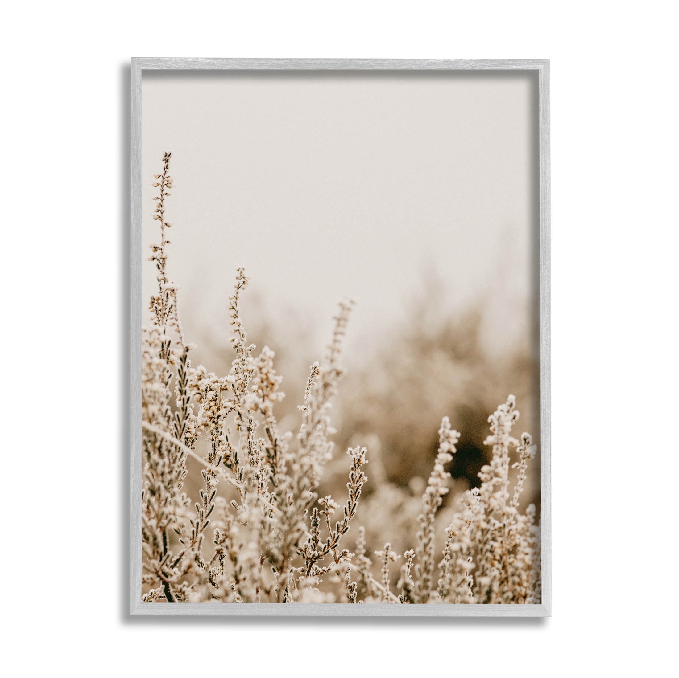 Stupell Industries Tranquil Wildflower Meadow Blooms Photograph Gray Framed Art Print Wall Art, Design by Leah Straatsma