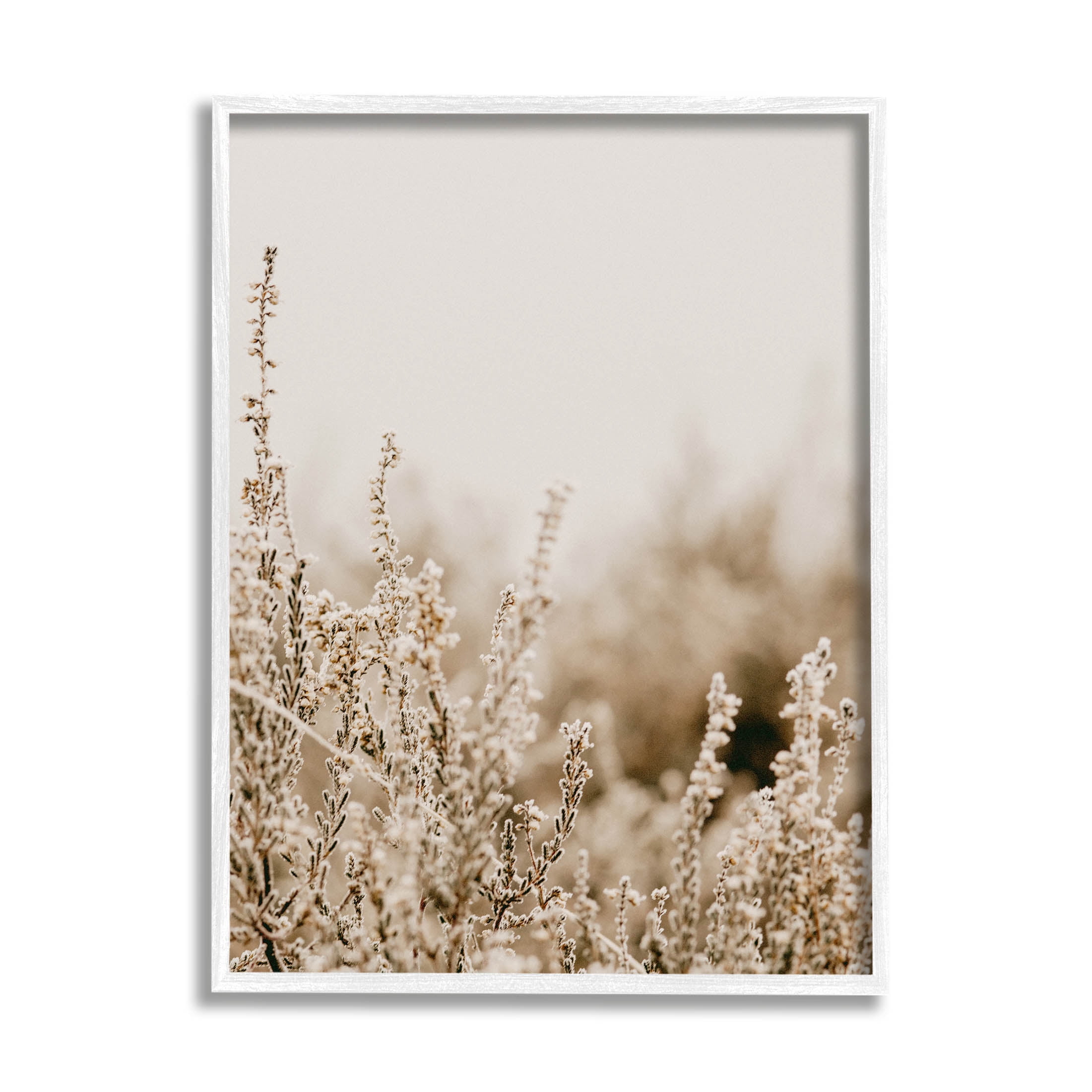 Stupell Industries Tranquil Wildflower Meadow Blooms Photograph White Framed Art Print Wall Art, Design by Leah Straatsma
