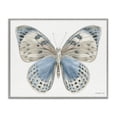 thumbnail image 1 of Stupell Industries Transitional Blue & White Butterfly Gray Framed Giclee Art, 14 x 11, by Danhui Nai, 1 of 7