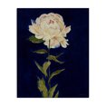 thumbnail image 1 of Stupell Industries Transitional Bold Rose Bloom Canvas Art, 16 x 20, by Liz Jardine, 1 of 7