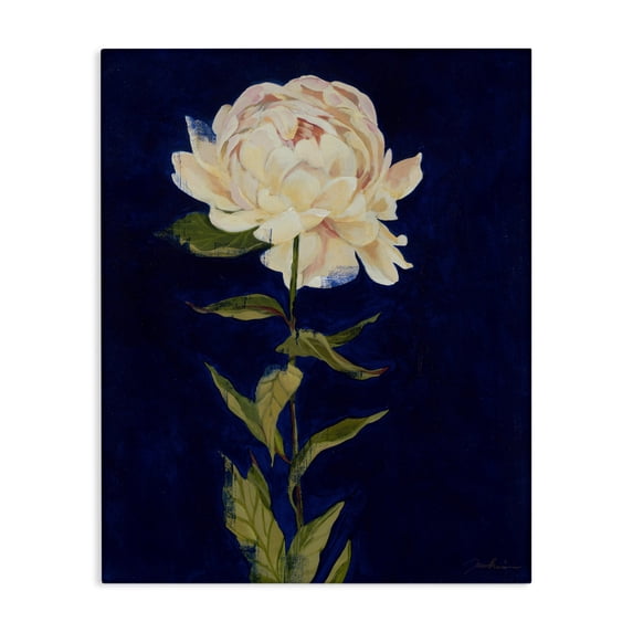 Stupell Industries Transitional Bold Rose Bloom Canvas Art, 16 x 20, by Liz Jardine