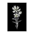 thumbnail image 1 of Stupell Industries Transitional Canvas Art, 16 x 24, by Leeza Hernandez, 1 of 8