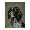 thumbnail image 1 of Stupell Industries Transitional Cocker Spaniel Portrait Canvas Art, 16 x 20, by Victoria Barnes, 1 of 8