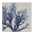 thumbnail image 1 of Stupell Industries Transitional Coral Branch with Circular Patterns Canvas Art, 36 x 36, by Karen Smith, 1 of 7