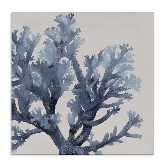 Stupell Industries Transitional Coral Branch with Circular Patterns Canvas Art, 36 x 36, by Karen Smith