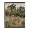 thumbnail image 1 of Stupell Industries Transitional Dense Forest Thicket Black Framed Giclee Art, 11 x 14, by Lettered and Lined, 1 of 8