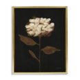 thumbnail image 1 of Stupell Industries Transitional Fade Into Fall Bloom Gold Floating Frame Canvas Art, 25 x 31, by Haley Knighten, 1 of 8
