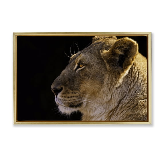 Stupell Industries Transitional Gold Floating Frame Canvas Art, 25 x 17, by Danita Delimont