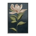 thumbnail image 1 of Stupell Industries Transitional Pink Iris Petals Black Framed Giclee Art, 12 x 18, by Jacob Q, 1 of 8