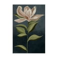 thumbnail image 1 of Stupell Industries Transitional Pink Iris Petals Canvas Art, 20 x 30, by Jacob Q, 1 of 8