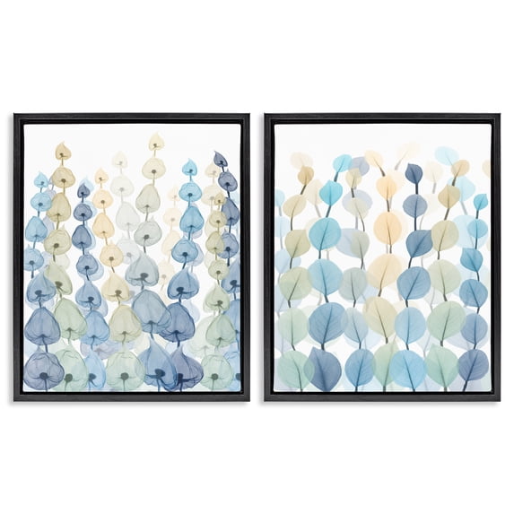 Stupell Industries Transitional Seaweed & Ocean Plants Pattern Black 2pc Floating Frame Art Set, 17 x 21 each, by Albert Koetsier