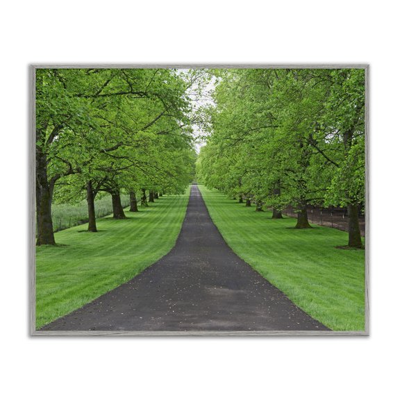 Stupell Industries Transitional Tree Grove Path Landscape Gray Framed Giclee Art, 20 x 16, by Dennis Frates
