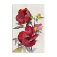 thumbnail image 1 of Stupell Industries Transitional Two Red Poppies Canvas Art, 20 x 30, by Theresa Troise Heidel, 1 of 8
