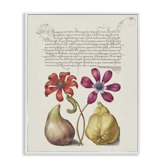 Stupell Industries Transitional Vintage Nature Page White Framed Giclee Art, 24 x 30, by Grace Popp
