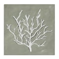thumbnail image 1 of Stupell Industries Transitional White Coral Impression Canvas Art, 17 x 17, by Nola James, 1 of 8