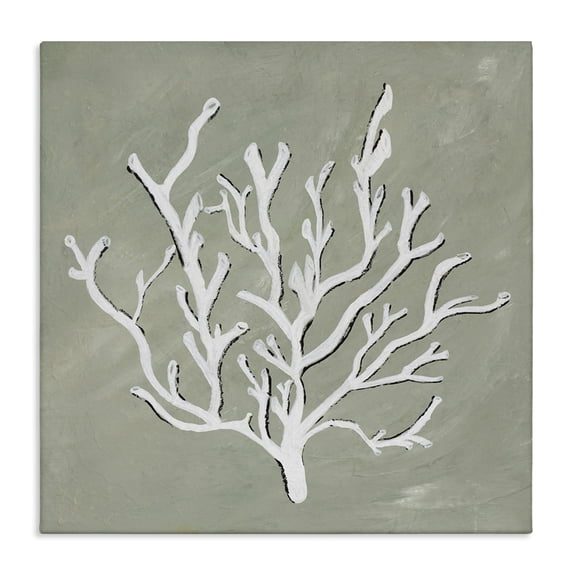 Stupell Industries Transitional White Coral Impression Canvas Art, 17 x 17, by Nola James