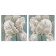 thumbnail image 1 of Stupell Industries Transitional White Iris Flower 2pc Canvas Art Set, 17 x 17 each, by Nan, 1 of 8