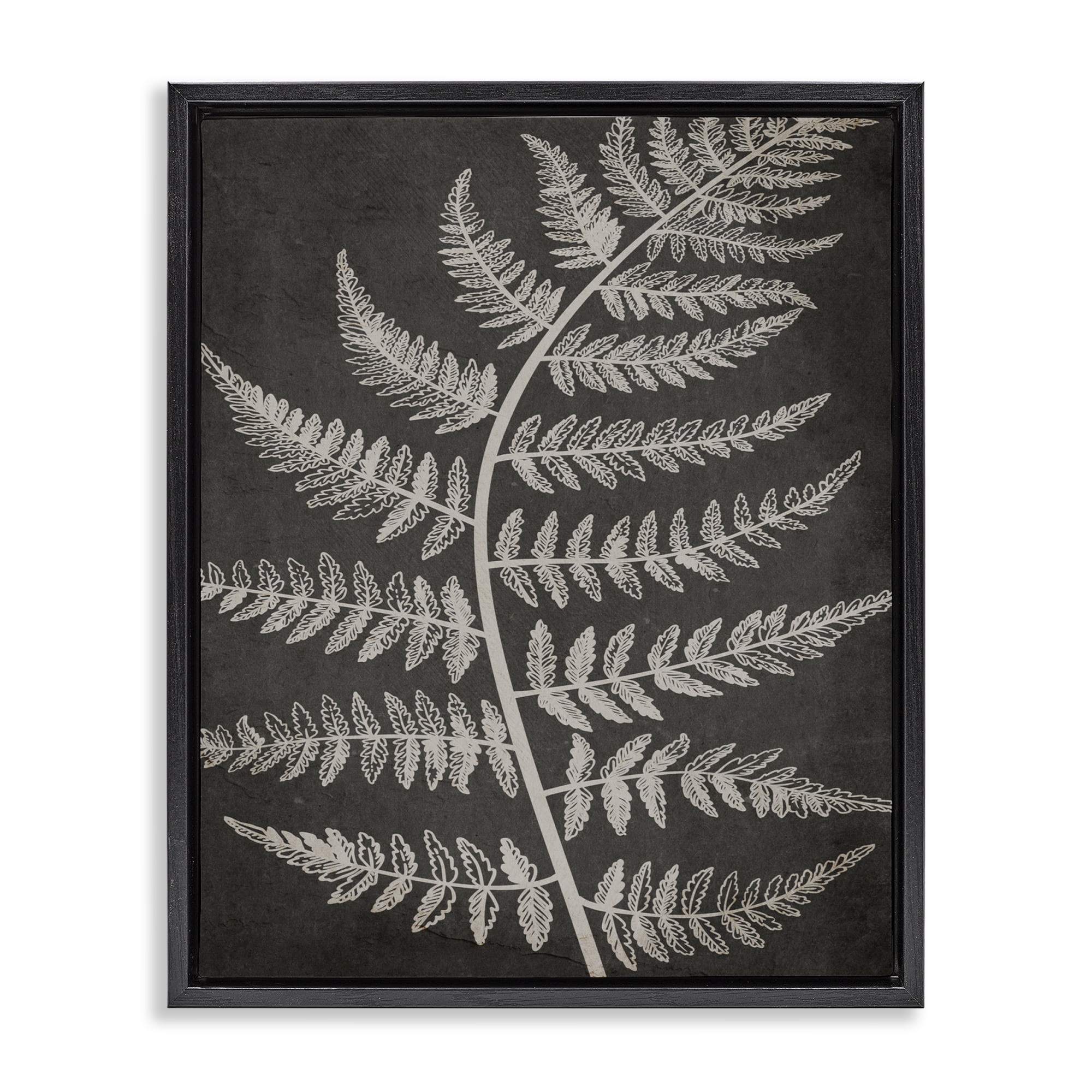 Wlmart Signs Stupell Industries Transitional Woodland Fern Outline Black Floating ...
