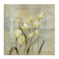 thumbnail image 1 of Stupell Industries Transitional Yellow Tulips on Beige Canvas Art, 17 x 17, by Silvia Vassileva, 1 of 8