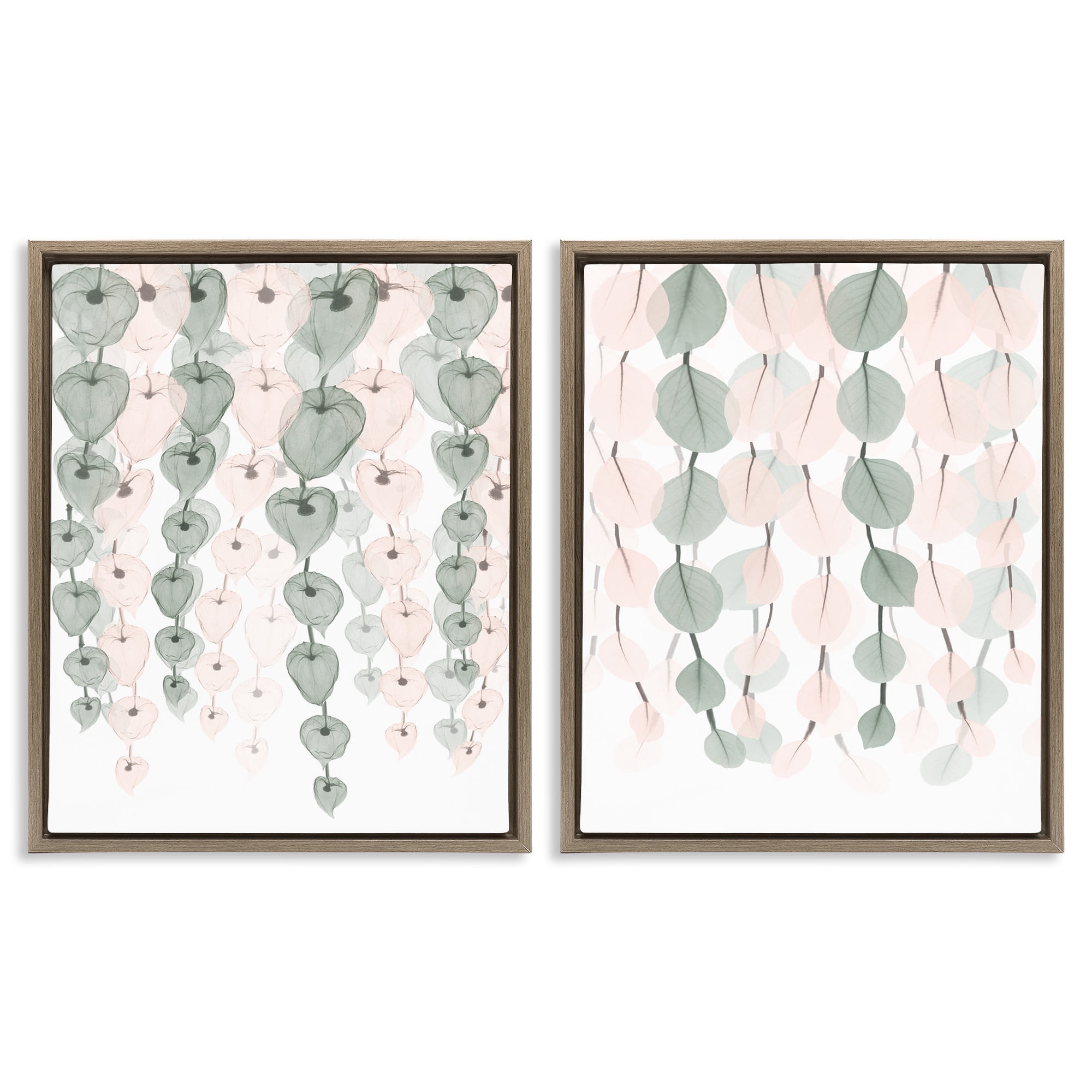 Stupell Industries Translucent Hanging Vines Foliage Botanical & Floral Photography Brown Floater Framed Canvas Art Print Wall Art, 17 x 21, Set of 2