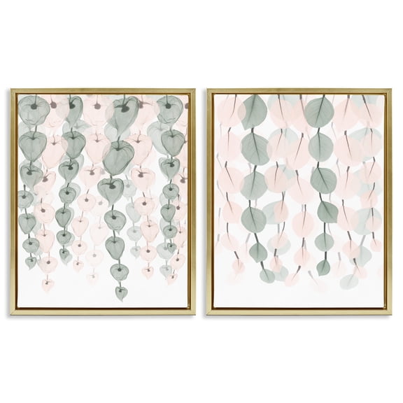 Stupell Industries Translucent Hanging Vines Foliage Botanical & Floral Photography Gold Floater Framed Canvas Art Print Wall Art, 17 x 21, Set of 2