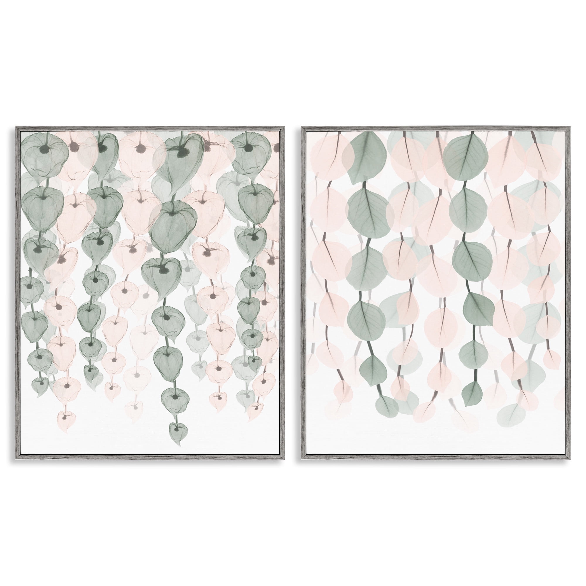 Stupell Industries Translucent Hanging Vines Foliage Botanical & Floral Photography Gray Framed Art Print Wall Art, 24 x 30, Set of 2