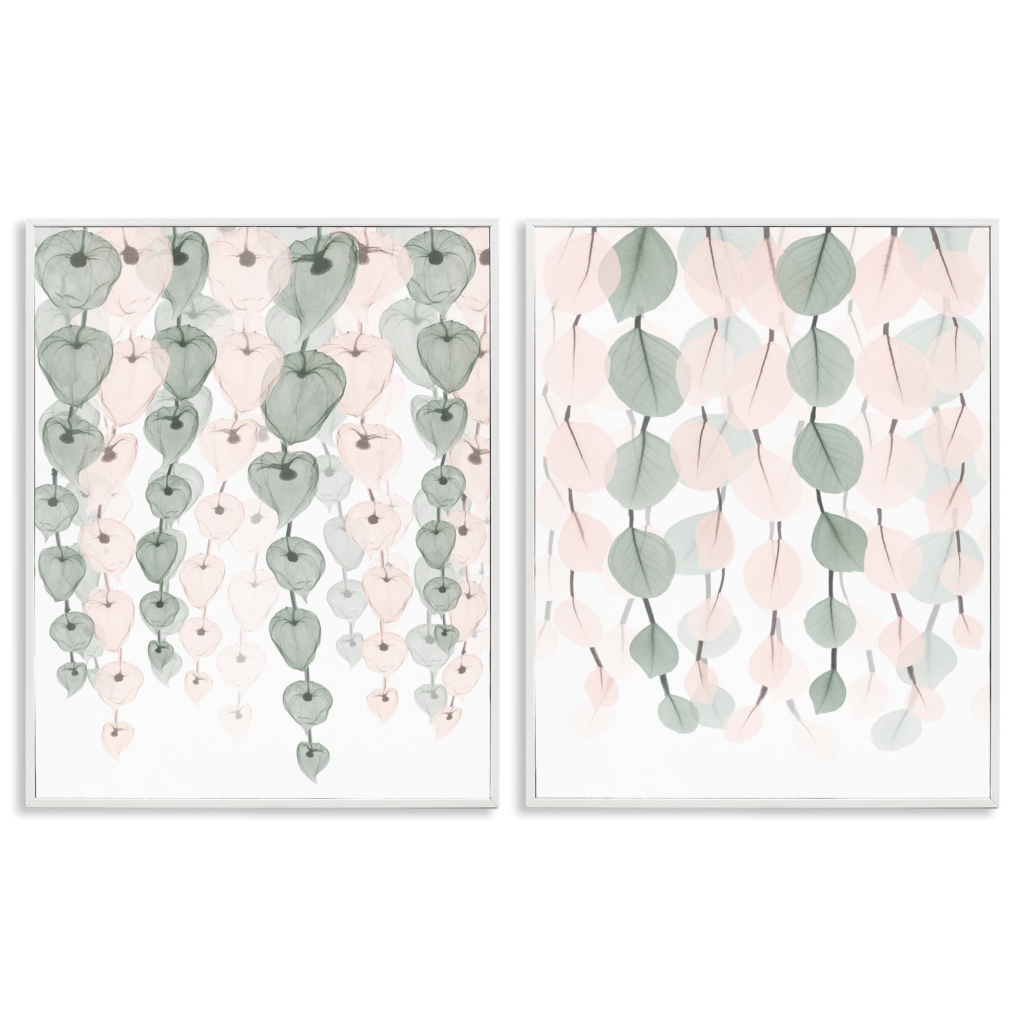 Stupell Industries Translucent Hanging Vines Foliage Botanical & Floral Photography White Framed Art Print Wall Art, 16 x 20, Set of 2