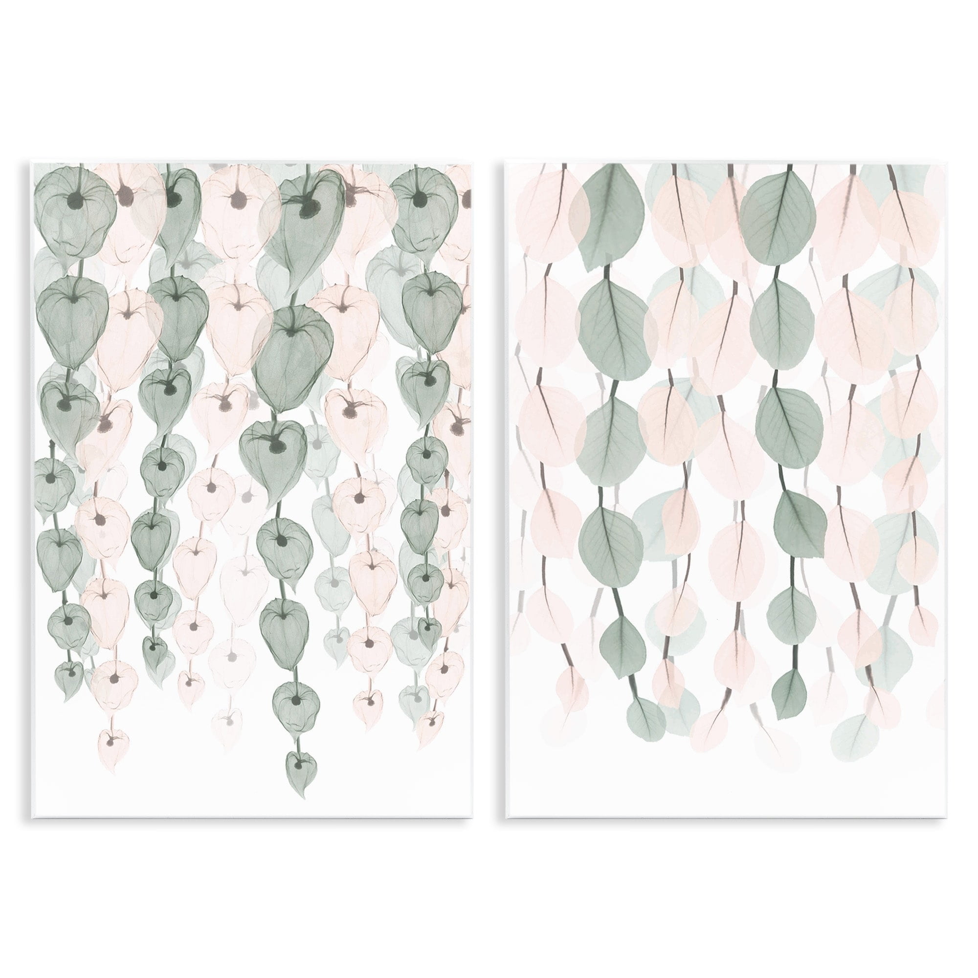 Stupell Industries Translucent Hanging Vines Green Pink Foliage,2pc, each 13 x 19,Designed by Albert Koetsier
