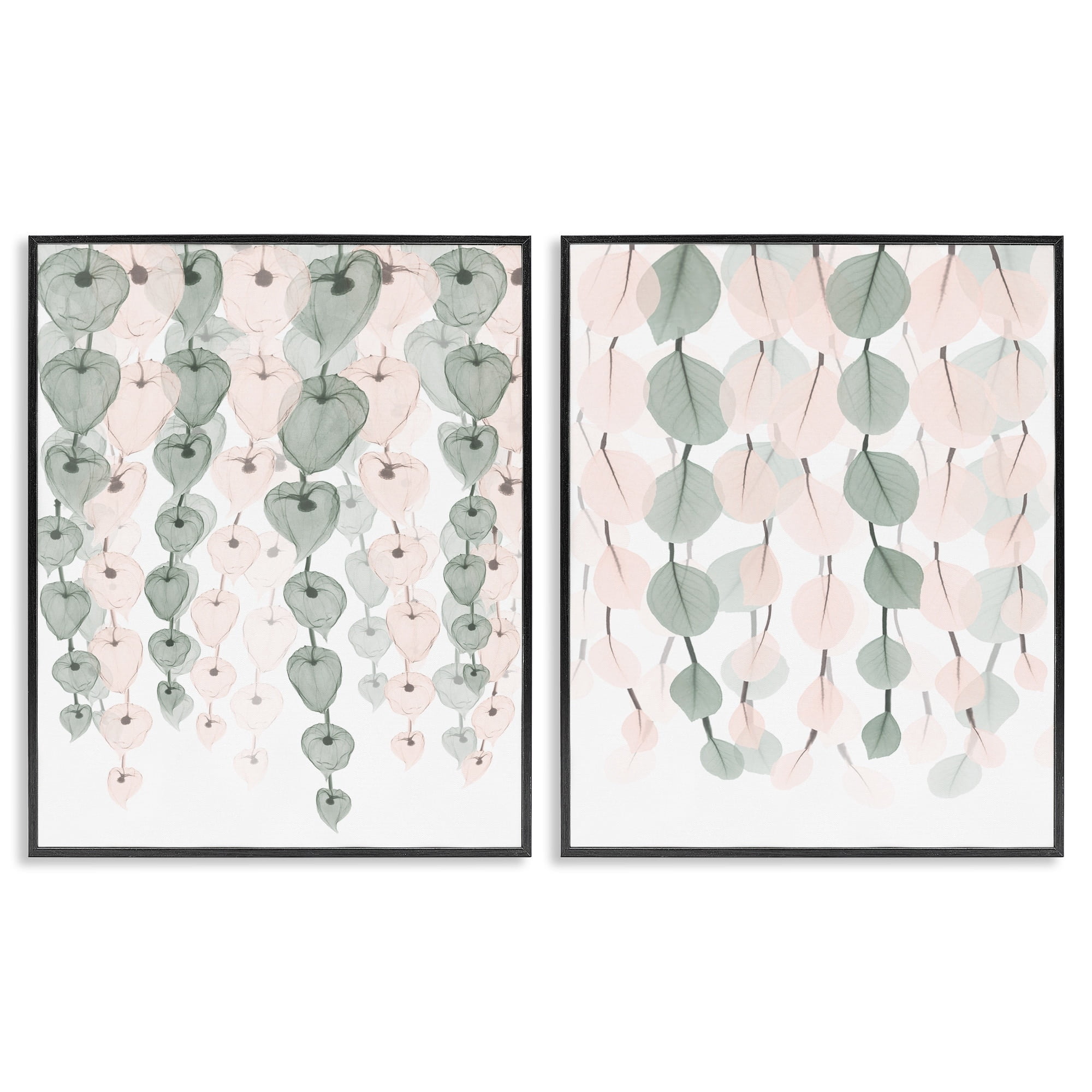 Stupell Industries Translucent Hanging Vines Green Pink Foliage,2pc, each 16 x 20,Designed by Albert Koetsier