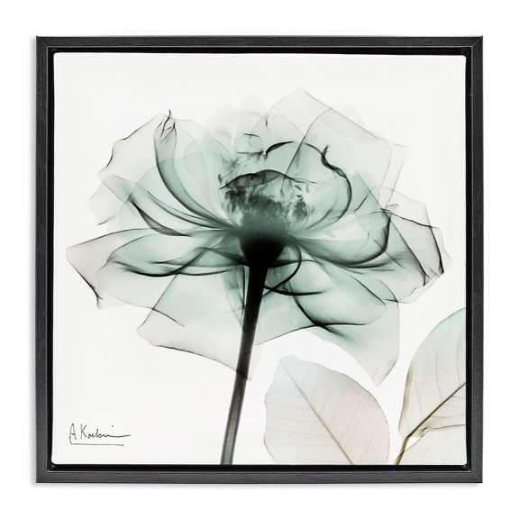 Stupell Industries Transparent Flower Blossom Floral Photography Black Floater Framed Canvas Art Print Wall Art, 18 x 18